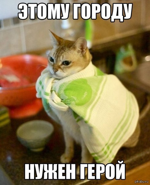 Суперкотэ | Пикабу