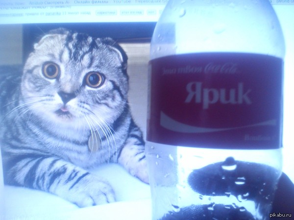 Я сделал это!!!