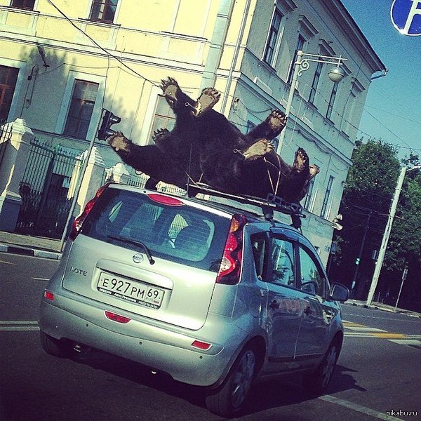 Meanwhile in Russia, Tver     