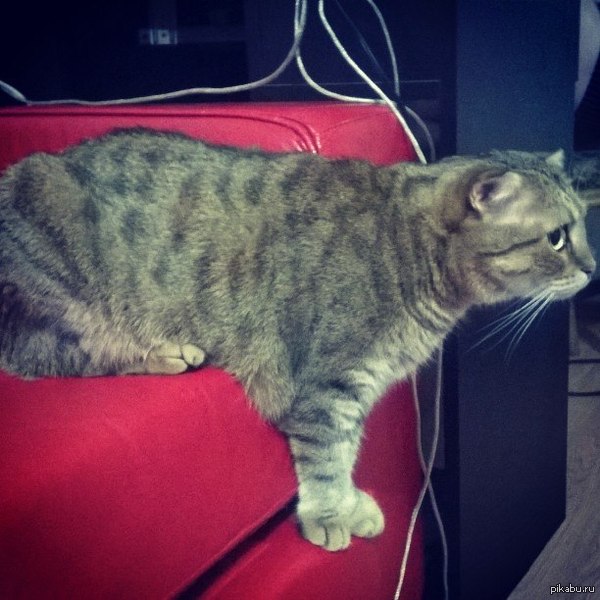 Ну очень удобная поза