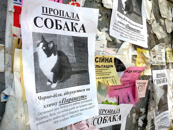 ������� ������