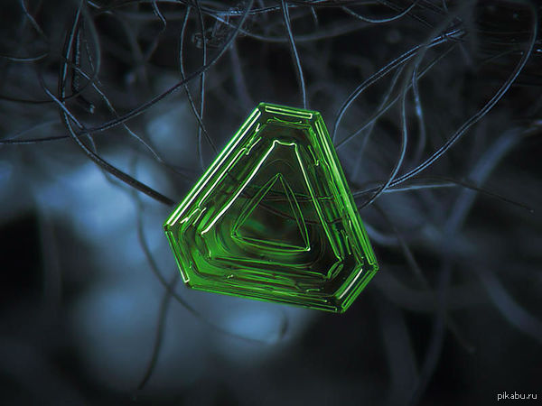 Умиротворяющий плюсик от природы.. в эти нелегкие времена.