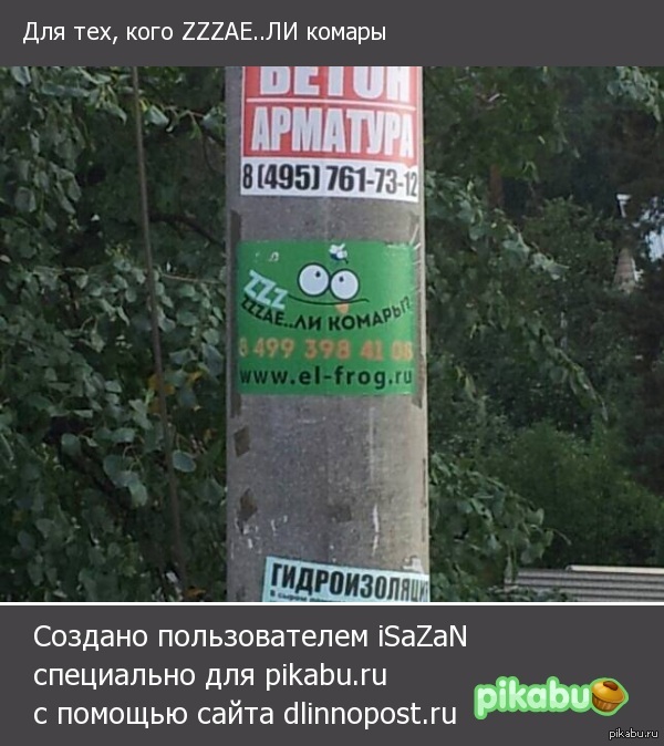 ����� ���� ����������