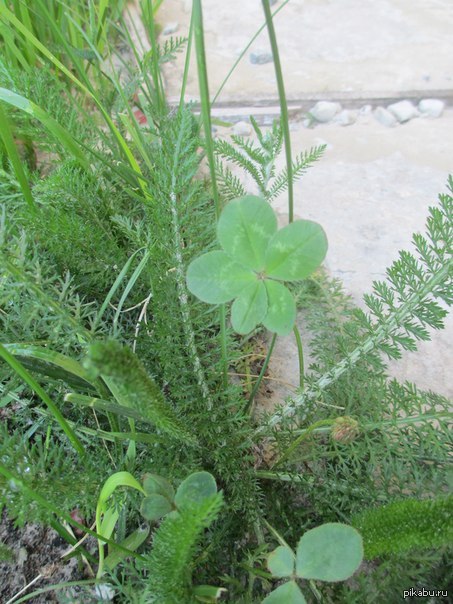 ����� ����!