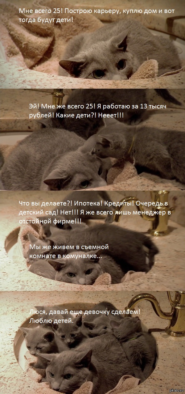    : http://pikabu.ru/story/_2571444