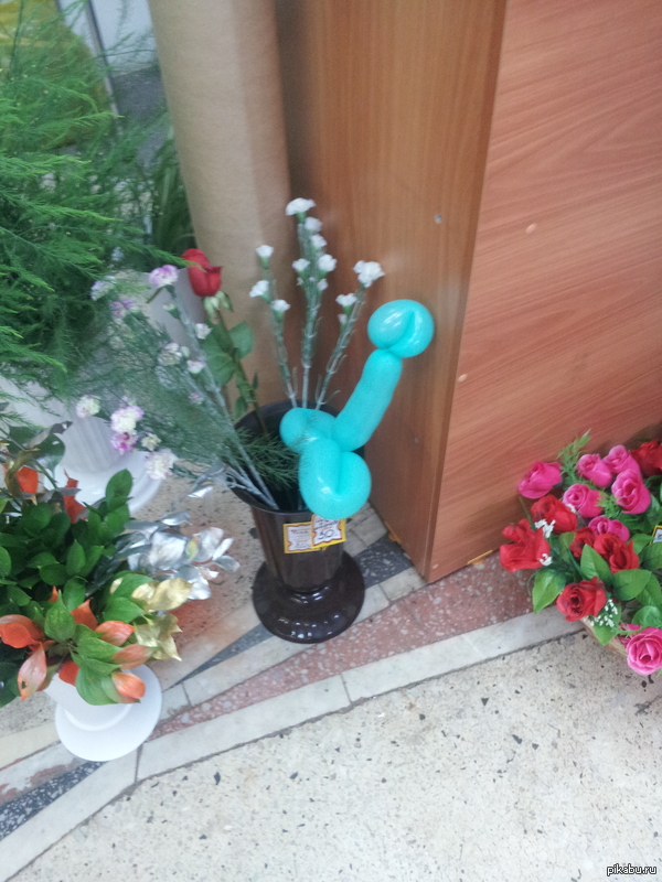 Зашла в цветочный магазин, а там... внезапно...