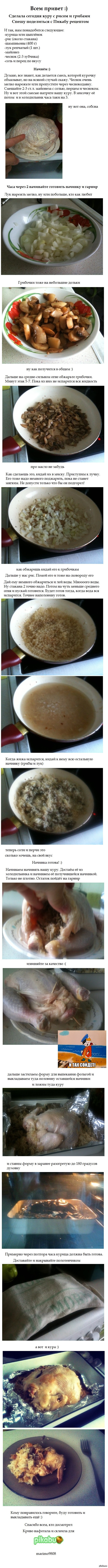 Chicken with rice and mushrooms - My, Kura, Food, Yummy, Hen, Longpost