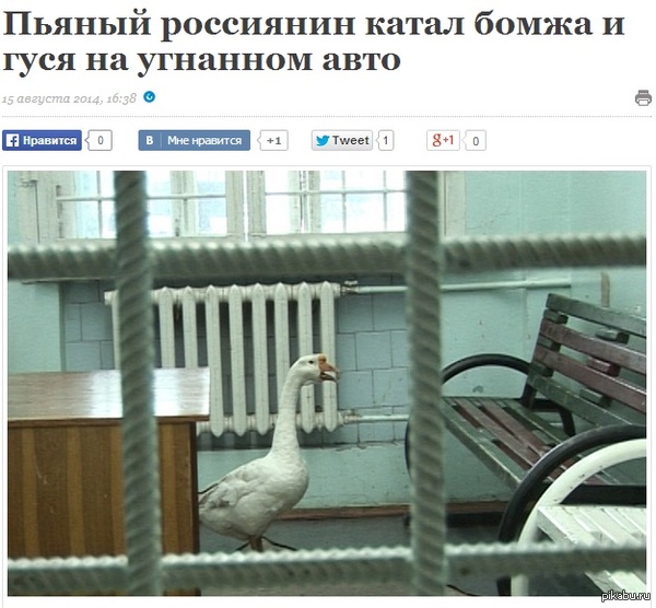 "����������" � ��������