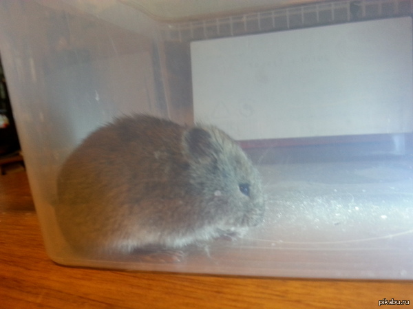 ��� ������ ����� ������. ������� ������ ��� ��� ������. ���-�� ����� ������?