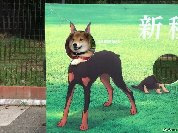 "�������, ���� � ��������"