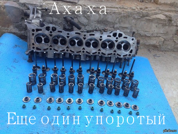 �� ���� �� ������?