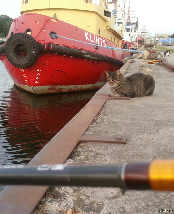 Болельщики на рыбалке