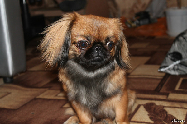 ����.� ����� ��������� ������ � ������ 3-4 ������,��� ������ �������� � ����� ��������!