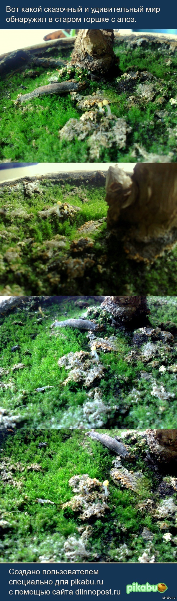 ��� ����� ��������� � ������������ ��� ��������� � ������ ������ � ����.