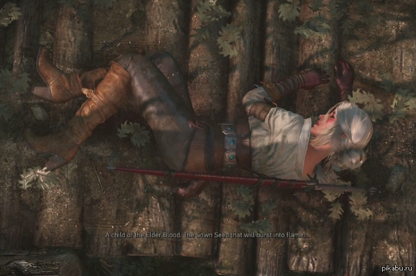Witcher 3.    :)