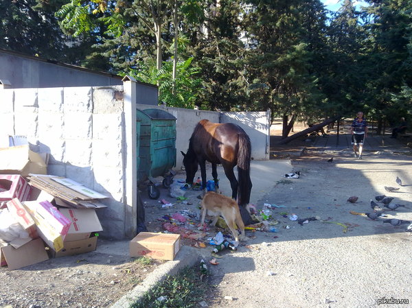 ��� ����, �����!