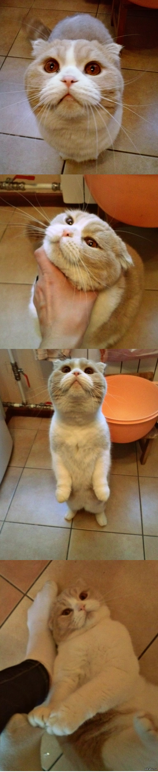 ,     . 