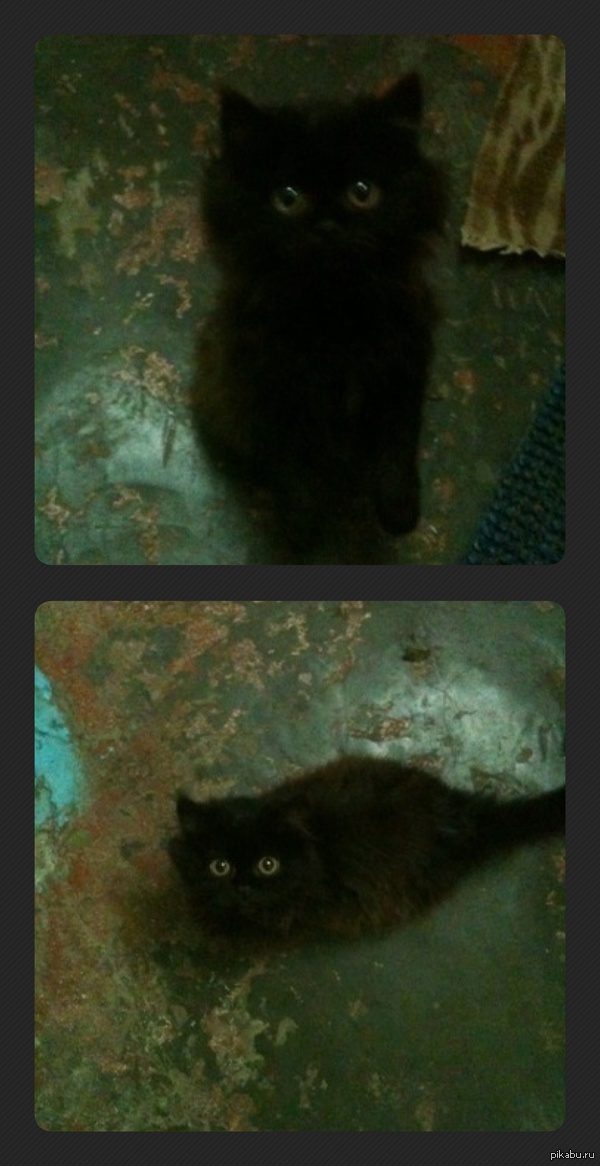 �������� � ��������.