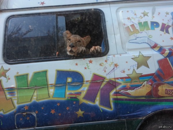 ���� ����� � ���������, � ���)