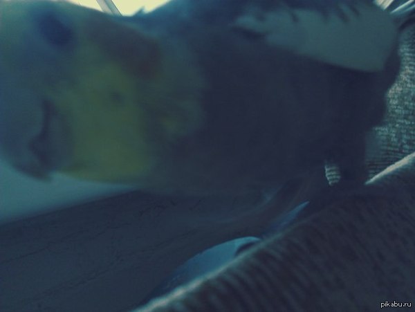 ������,��� � ������� �����������...