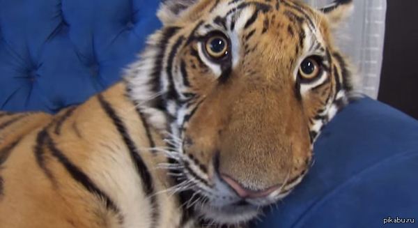 ���� ���� ����� ���� ���������.