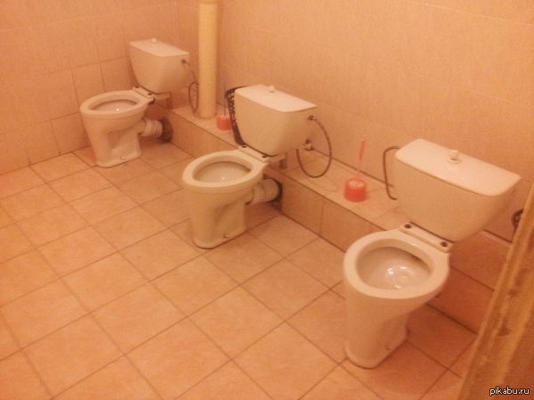 Three-pointer :-) - My, Toilet, Toilet, Three-point