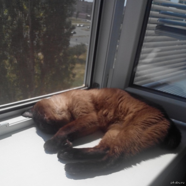 ����������� - ������, 1995 ���� ��������)))