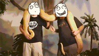Питон-тролль