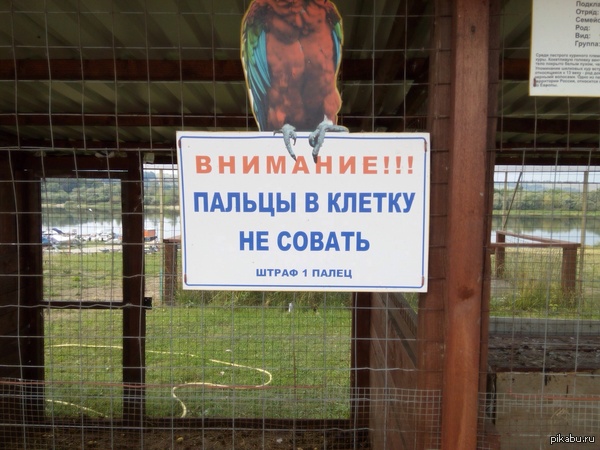 �����