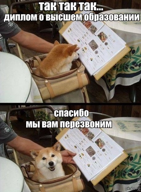 ������-�����������������