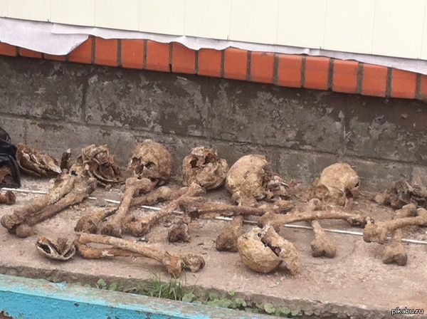 В орловской области найдена братская могила