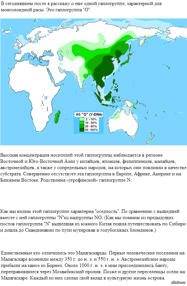 Гаплогруппы древних. Гаплогруппы. Гаплогруппа c2. Гаплогруппы китайцев. Гаплогруппа филиппинцев.