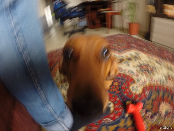      GoPro:)  Ps:   ,    . 