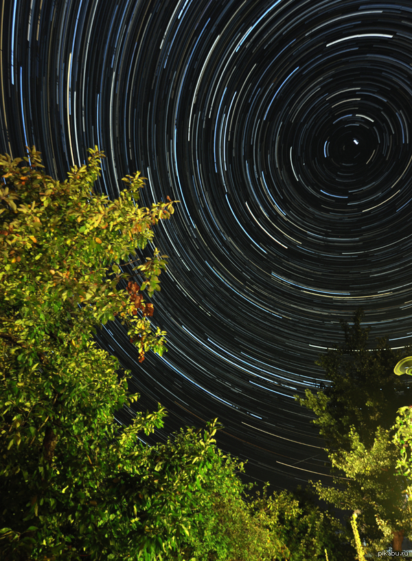 ��� ���� �������� �����