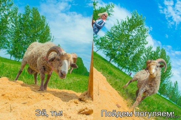 ����� ���� ���� ��������...))