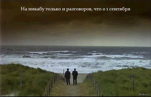 Достучаться до пикабу