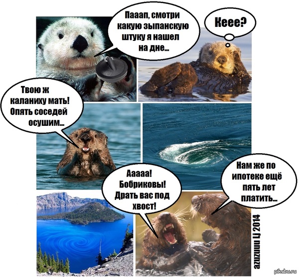 ���-�� �� ��������� �������...