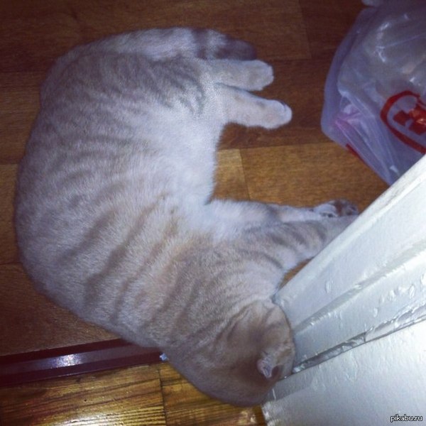 Пожалуй, я лягу здесь