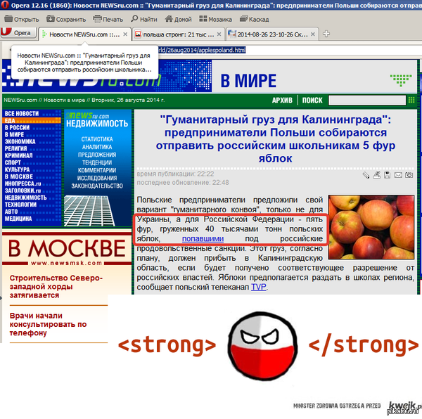   .      ... http://newsru.com/world/26aug2014/applespoland.html