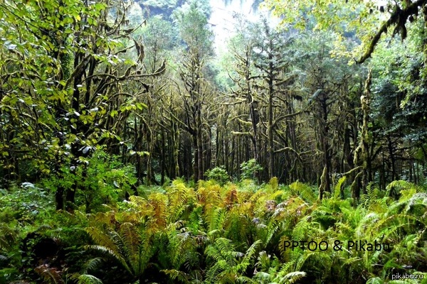 �������, ���������� ���� �������� �� ���������� ������