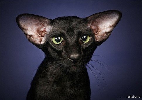 �� ����, ����� ����� � ����� ������������� ������� ���������(