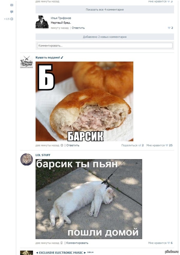 Барсик | Пикабу