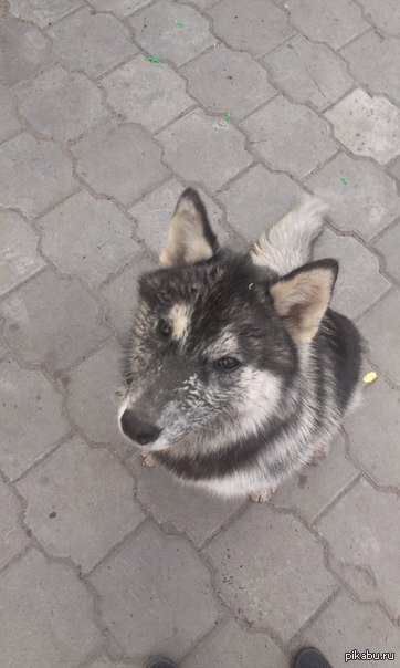 � � ���� ������� ���� ��������� ���� ��� http://pikabu.ru/story/_2605657