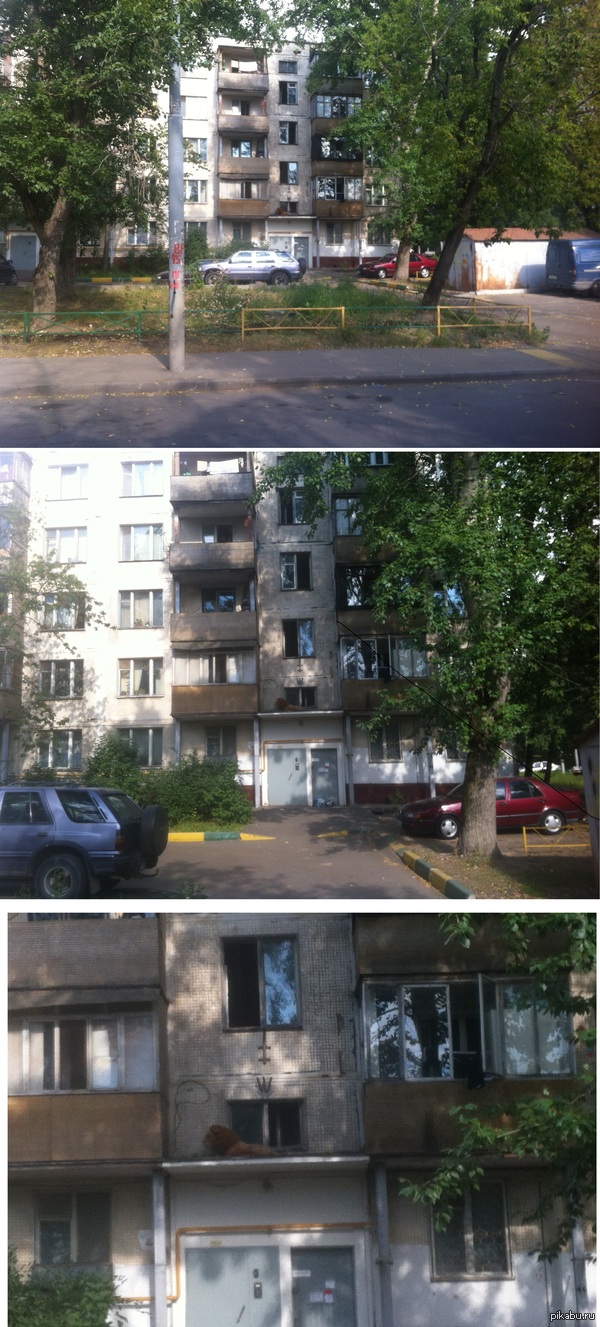 ����� ������ �� ������