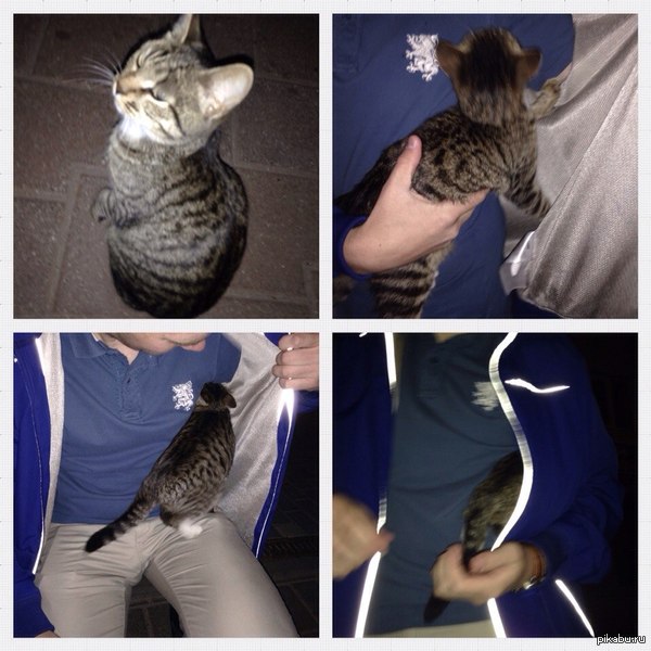 ��������� �������