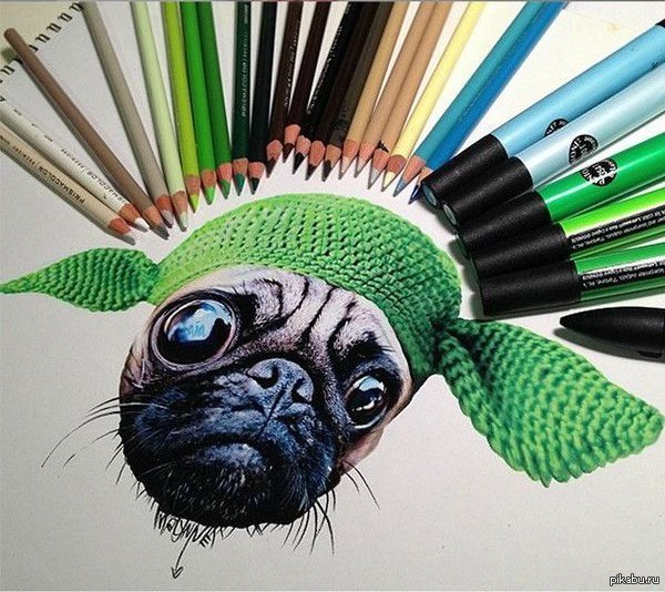 Настоящий талант | Пикабу