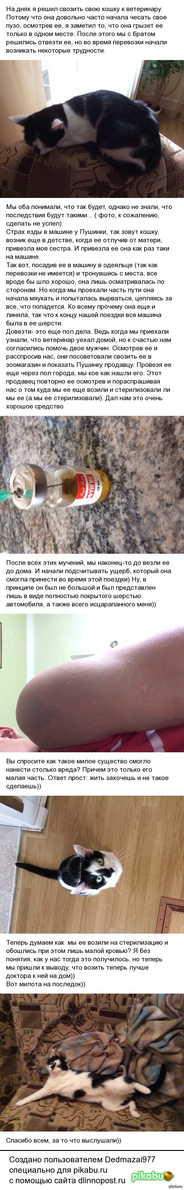 ������� � ����������