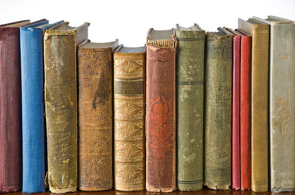 Книги это забор | Пикабу