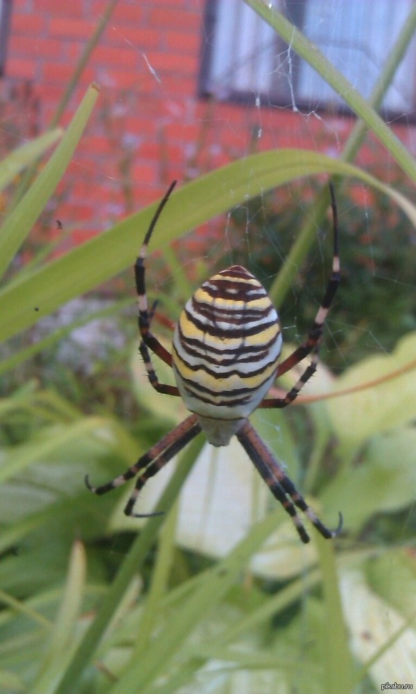 ���� ����� �� ���� ���