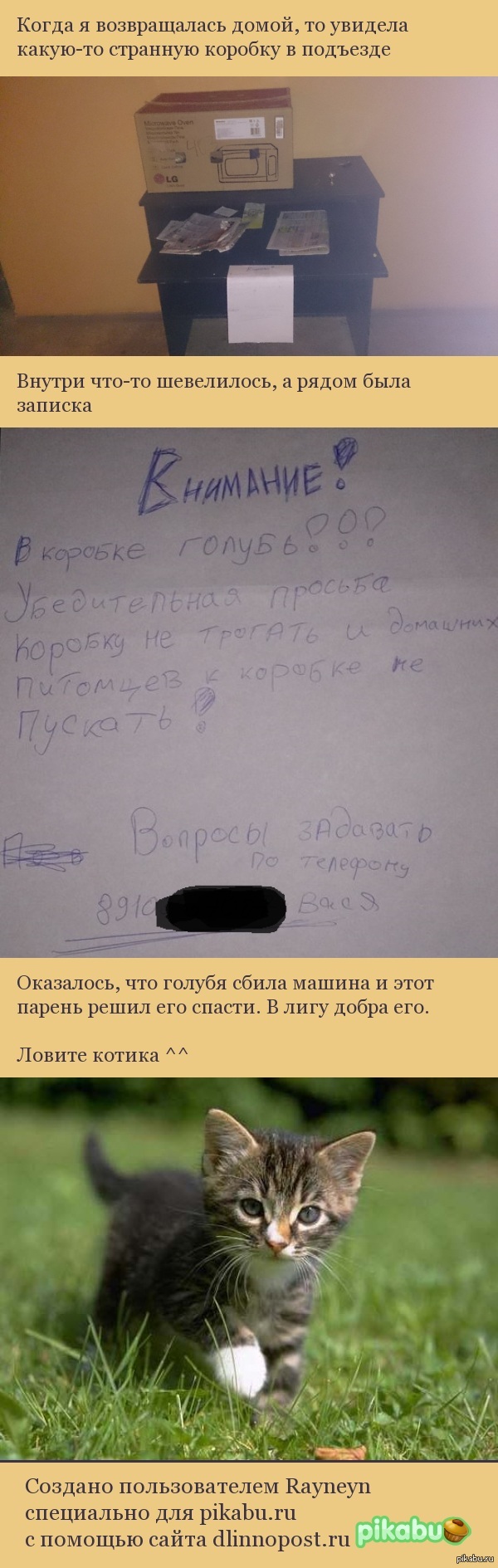 � ���� ����� ���! :3